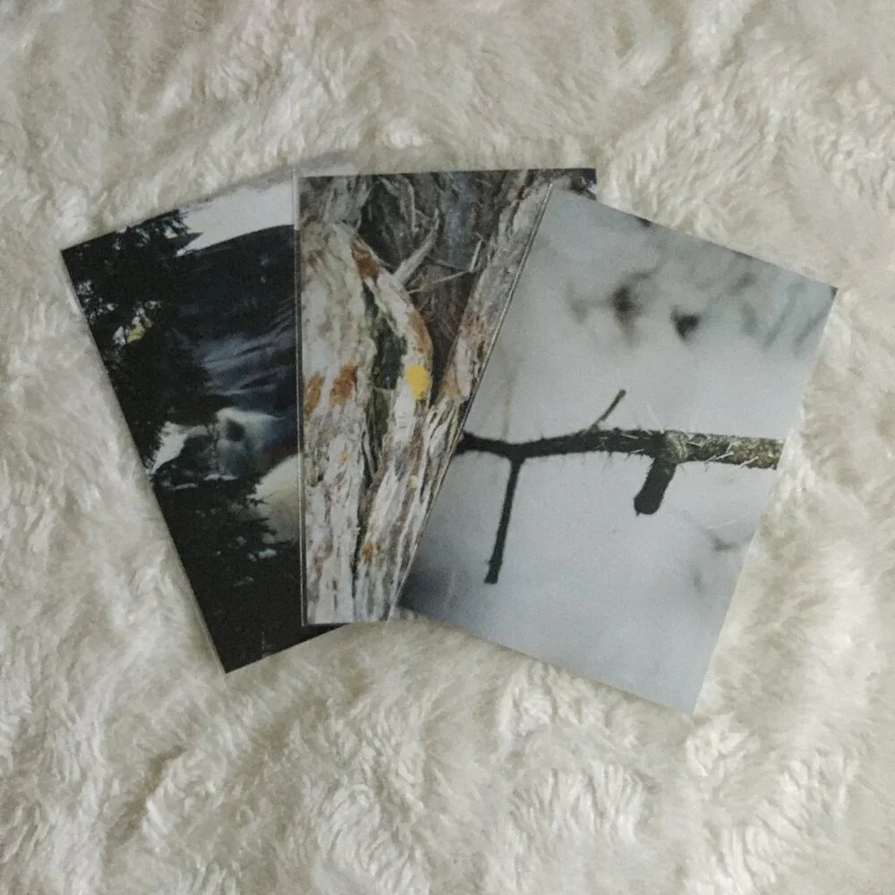 Set of 4 Original Canadian Winter Photographs Nature Bark Twigs River Macro Art - Picture 6 of 7